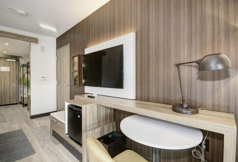 Номер Стандарт Кровать Кинг Адаптированный для Инвалидов, Wyndham Garden Sacramento Airport Natomas