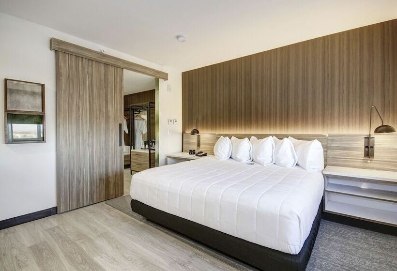 Номер Стандарт Кровать Кинг Адаптированный для Инвалидов, Wyndham Garden Sacramento Airport Natomas