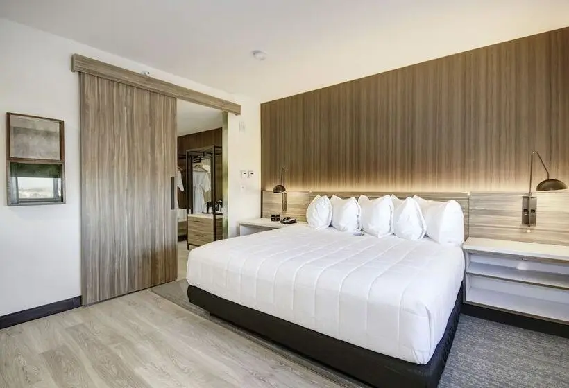 اتاق استاندارد با تخت بزرگ برای معلولان, Wyndham Garden Sacramento Airport Natomas