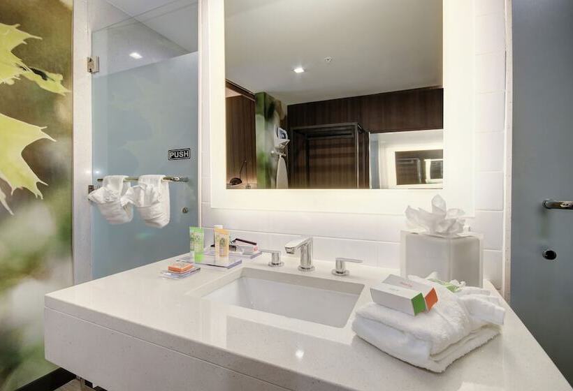 غرفة قياسية سرير كينج لذوى الإحتياجات الخاصة, Wyndham Garden Sacramento Airport Natomas