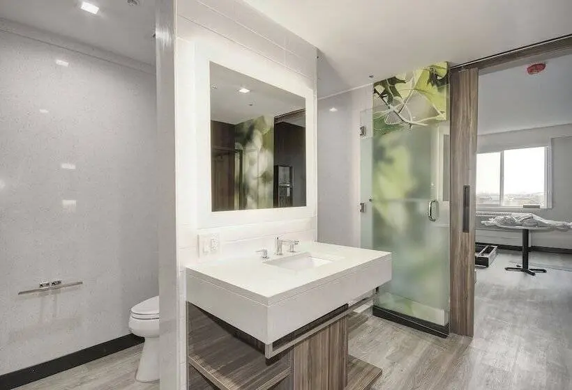 اتاق دلوکس مخصوص معلولین, Wyndham Garden Sacramento Airport Natomas