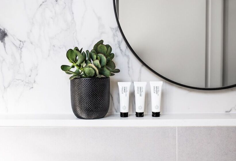 디럭스 룸, The Baxley Bondi