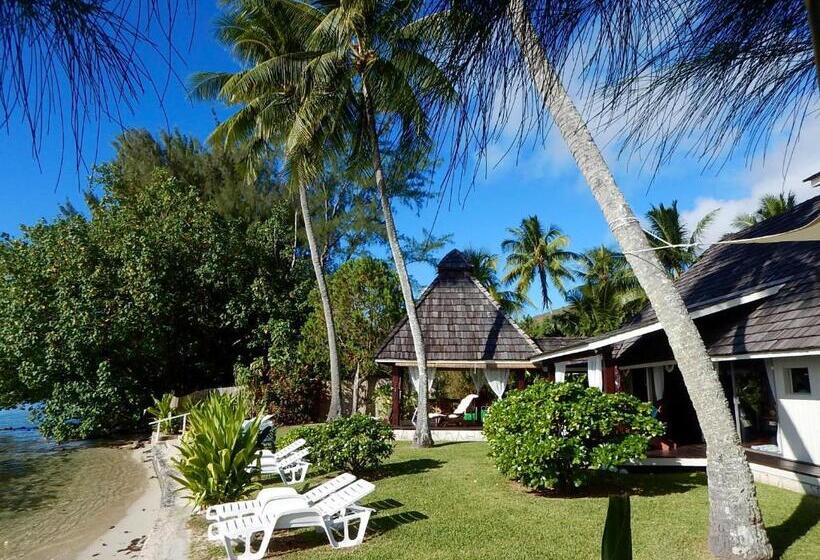Deluxe Suite Sea View, Poerani Moorea