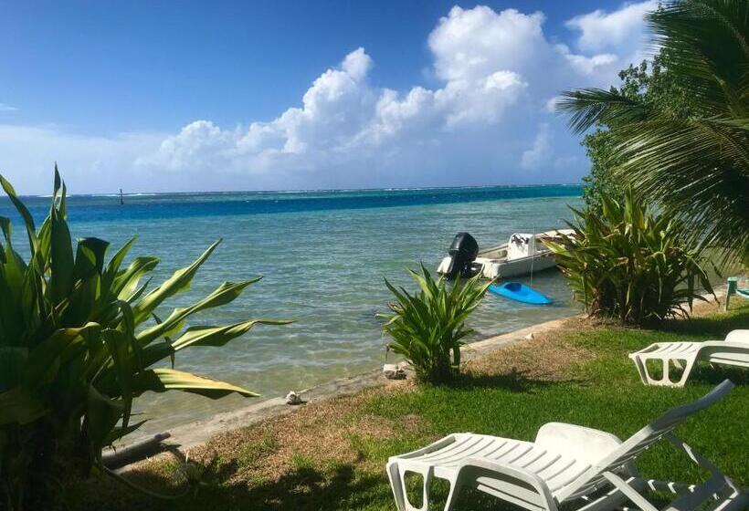 سوئیت جونیور با چشم‌انداز باغ, Poerani Moorea