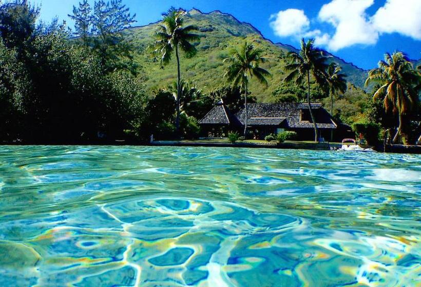 سوئیت جونیور با چشمانداز باغ, Poerani Moorea