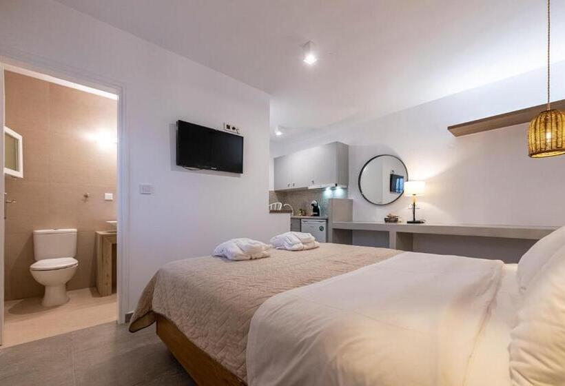 إستوديو قياسى مزودة بتراس, Gaia Lux Inn