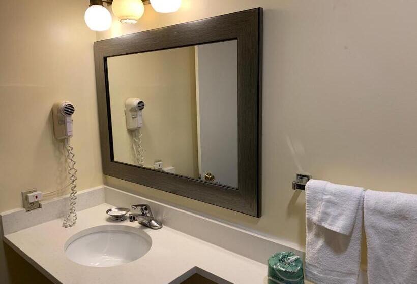 キングサイズベッドのスタンダードルーム, Four Winds Country Motel