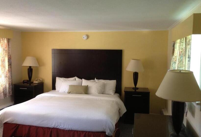 キングサイズベッドのスタンダードルーム, Four Winds Country Motel