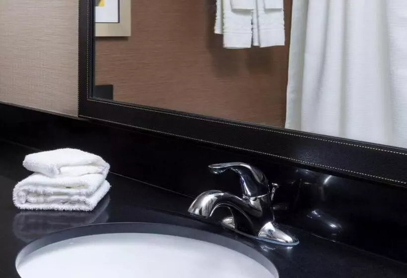 اتاق استاندارد, Fairfield Inn & Suites By Marriott Galesburg