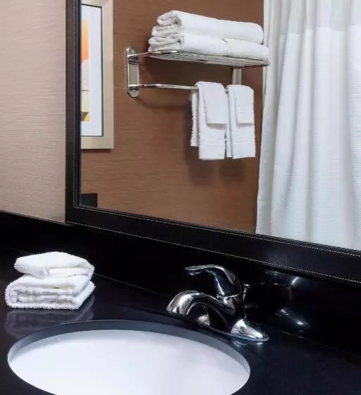 اتاق استاندارد با تخت بزرگ, Fairfield Inn & Suites By Marriott Galesburg