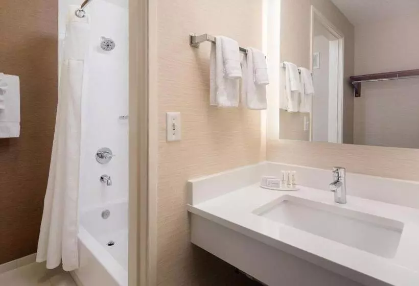 デラックスルーム, Fairfield Inn By Marriott Loveland Fort Collins