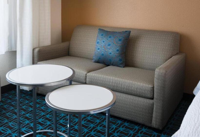 Номер Deluxe, Fairfield Inn By Marriott Loveland Fort Collins