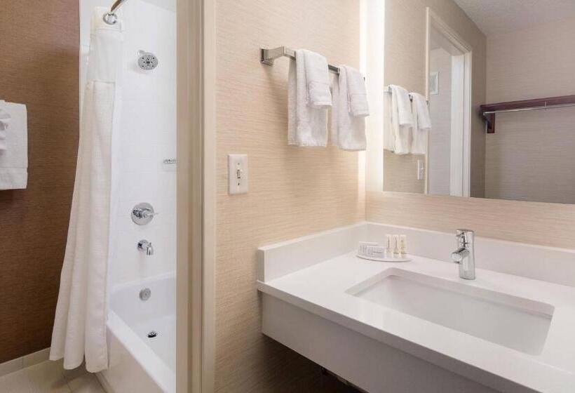 Номер Стандарт Кровать Кинг Адаптированный для Инвалидов, Fairfield Inn By Marriott Loveland Fort Collins