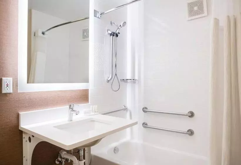 身障者適用キングサイズベッドルーム, Fairfield Inn By Marriott Loveland Fort Collins