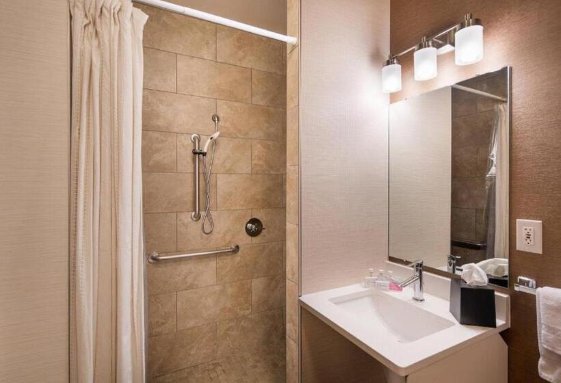 Номер Стандарт Кровать Кинг Адаптированный для Инвалидов, Fairfield Inn By Marriott Loveland Fort Collins