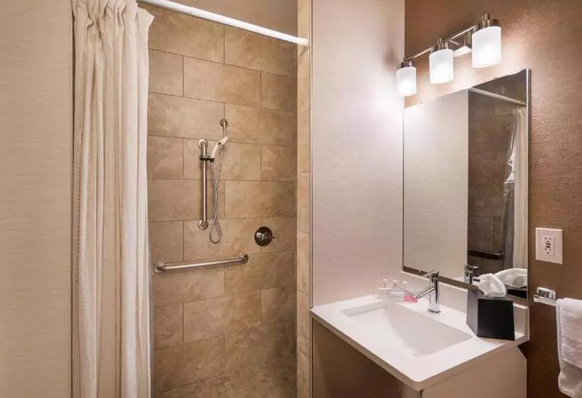 身障者適用キングサイズベッドルーム, Fairfield Inn By Marriott Loveland Fort Collins