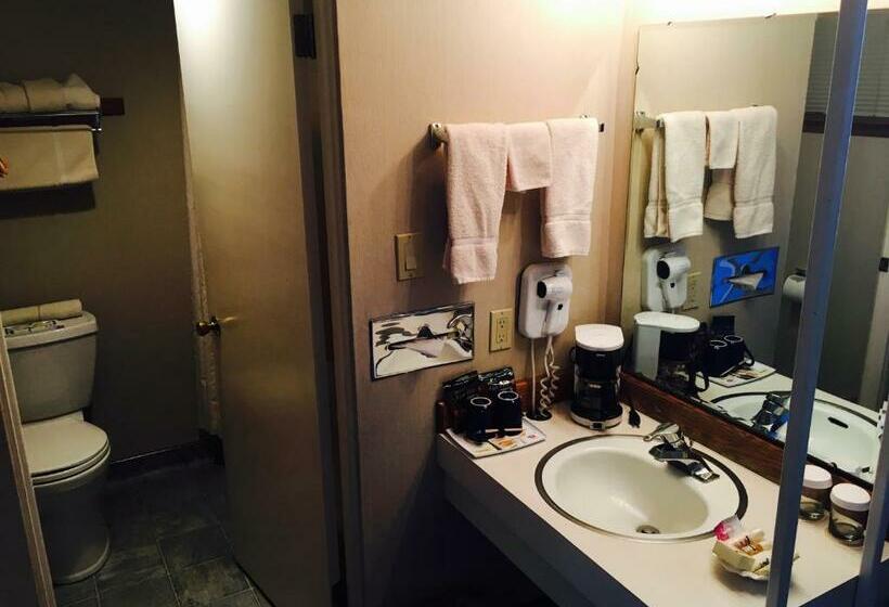 Номер Deluxe Кровать Кинг, Flagship Inn