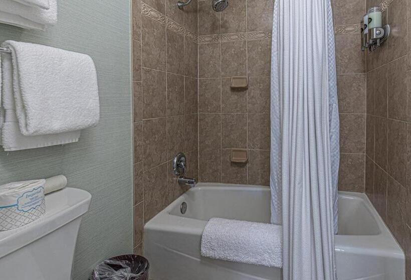 סוויטה, General Palmer