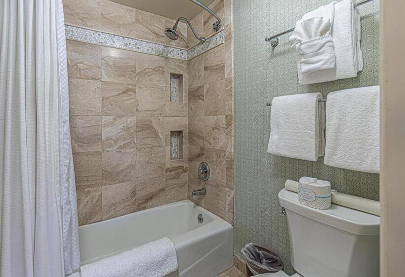 חדר דחוקס עם מיטת קינג, General Palmer