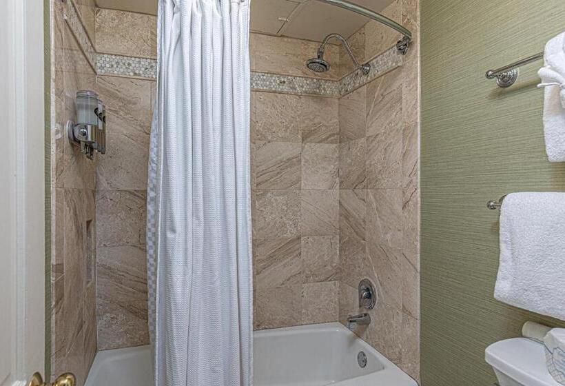 חדר דלוקס, General Palmer