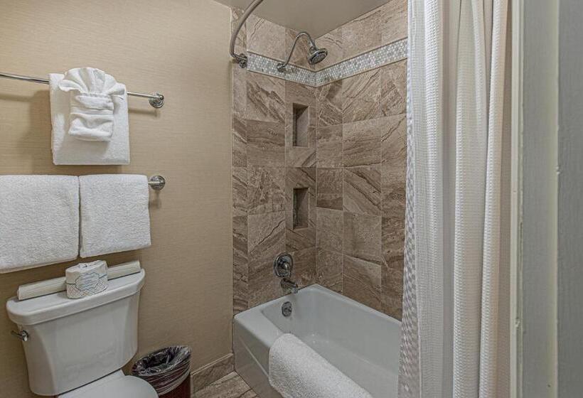 חדר סטנדרט עם מיטת קינג, General Palmer