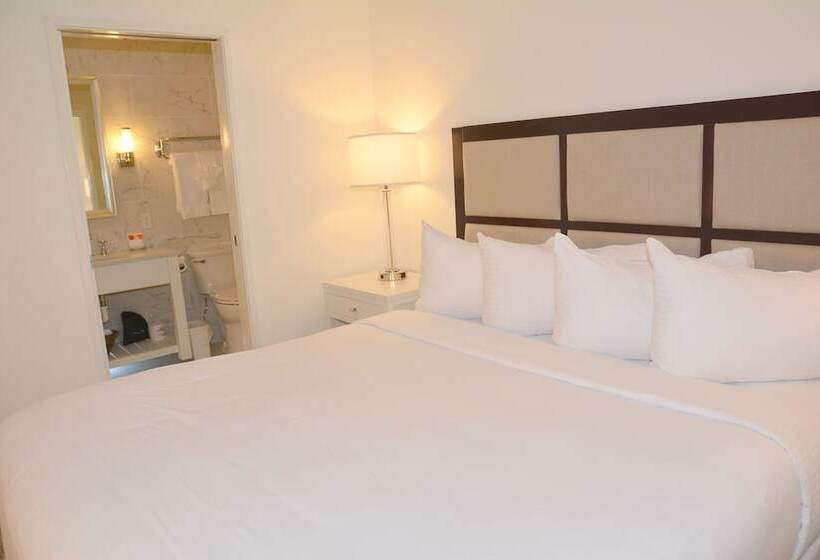 スイート（家族用）, Icona Avalon