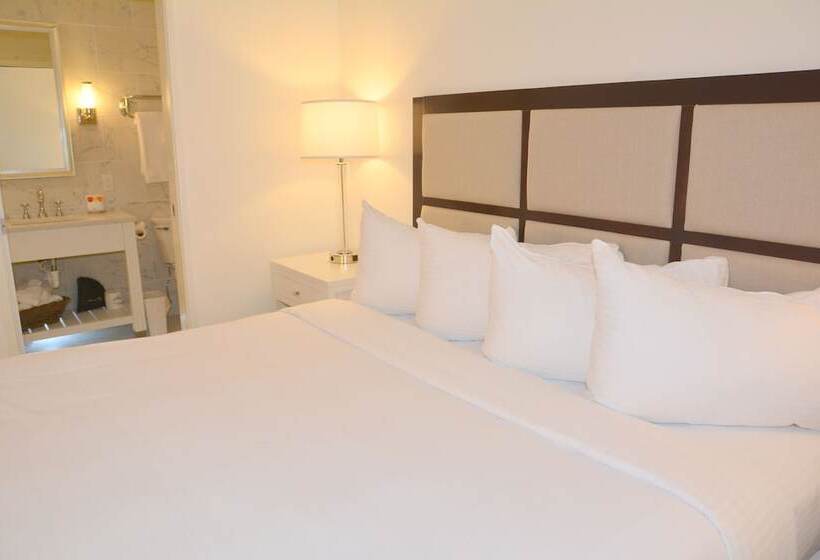 スイート（家族用）, Icona Avalon