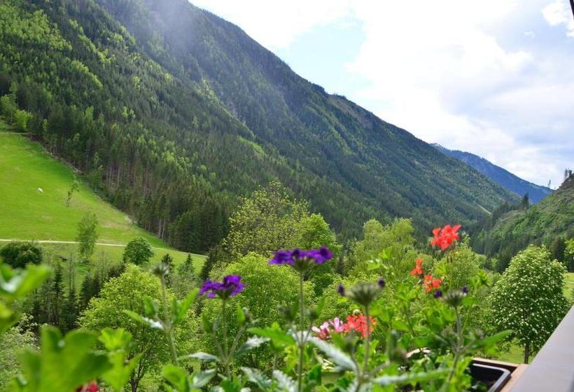 バルコニー付きシングルスタンダードルーム, Gasthof Tetter