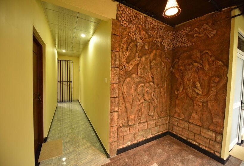 غرفة عائلية, The Summer Resort