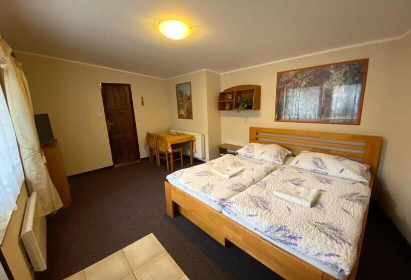 Habitació Estàndard, Penzion Pod Zámkem