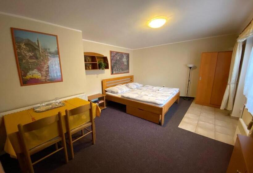 Habitació Estàndard, Penzion Pod Zámkem