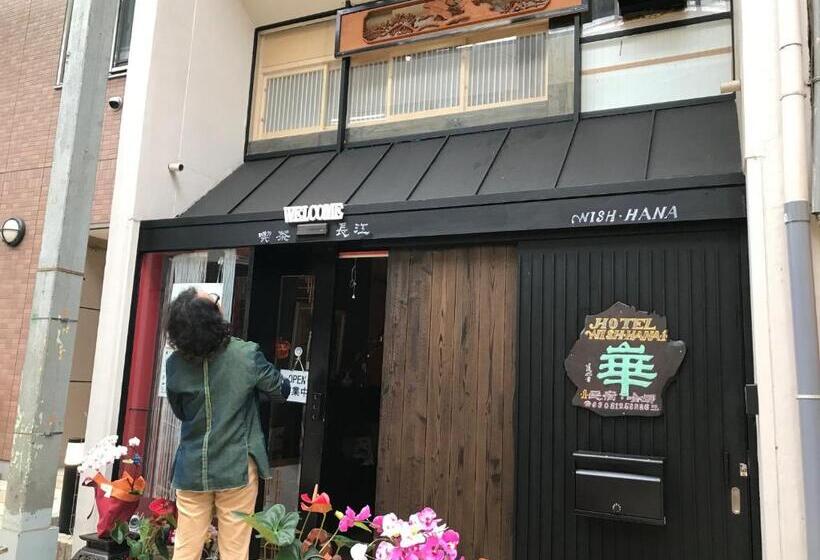 经济四人房间, Wish Hana