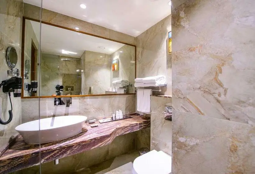 デラックスルーム, Best Western La Vista Pathankot