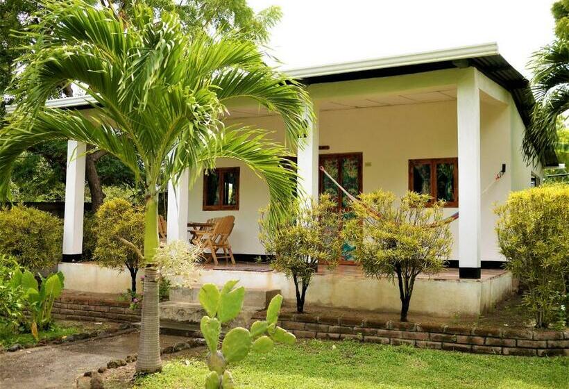 Семейное Бунгало, Hospedaje Soma Ometepe