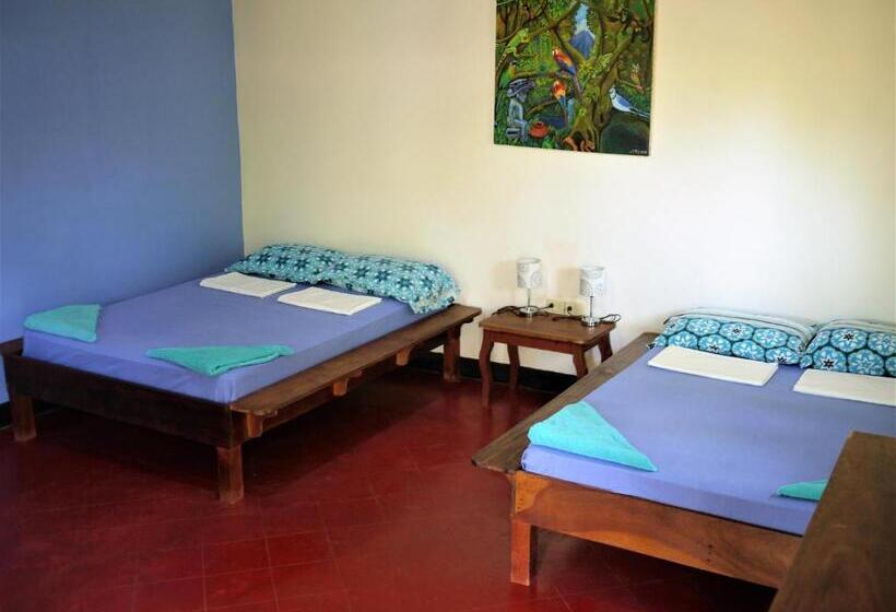 Четырехместный Номер Стандарт с Балконом, Hospedaje Soma Ometepe