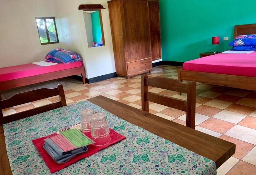 Бунгало Стандарт, Hospedaje Soma Ometepe