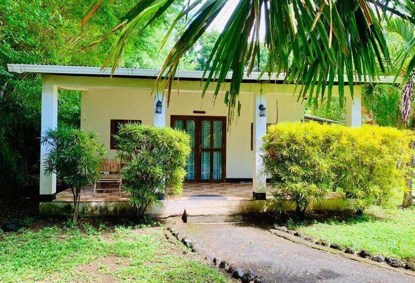 Бунгало Стандарт, Hospedaje Soma Ometepe