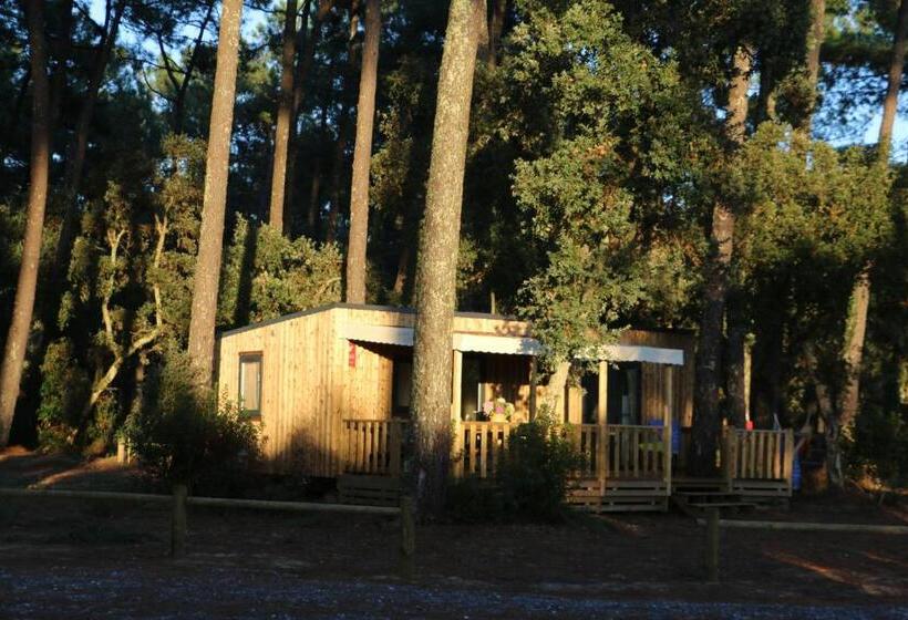 كابينة, Green Resort