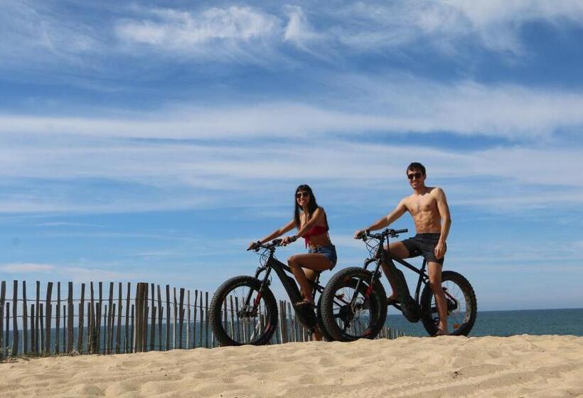 جناح ديلوكس, Green Resort