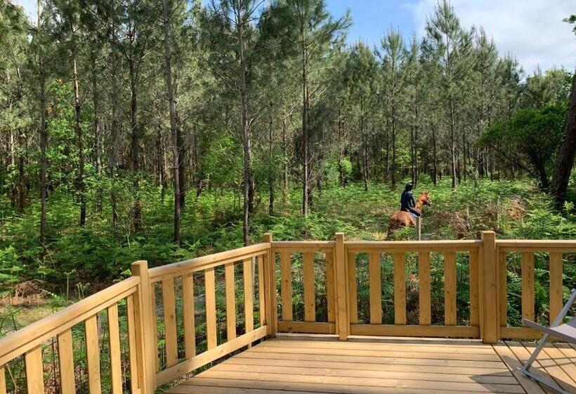 Люкс Повышенной Комфортности, Green Resort