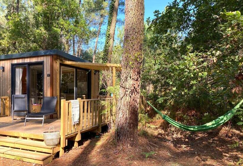 Люкс Повышенной Комфортности, Green Resort