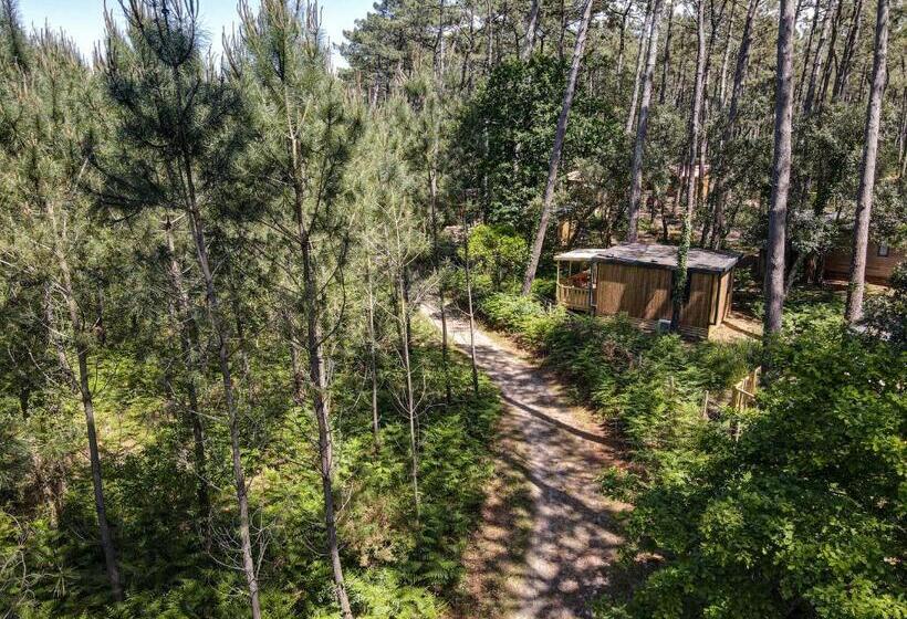 جناح ديلوكس, Green Resort