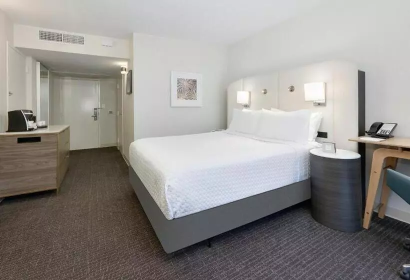身障者適用スタンダードルーム, Crowne Plaza Hotel Dallas Downtown, An Ihg