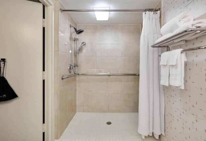 Utcára Néző Standard Szoba, Crowne Plaza Hotel Dallas Downtown, An Ihg