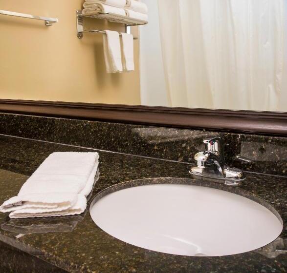 Номер Стандарт Кровать Кинг Адаптированный для Инвалидов, Best Western Plus Mishawaka Inn