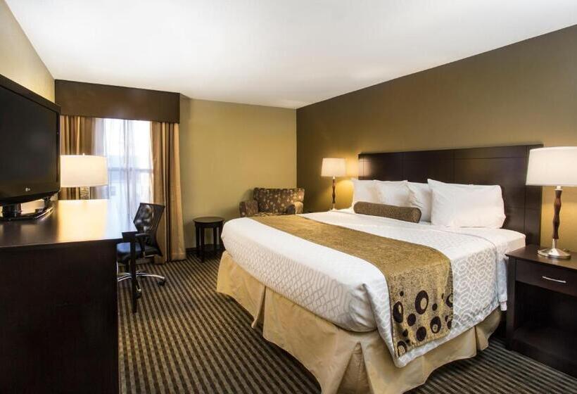 اتاق استاندارد با تخت بزرگ, Best Western Plus Mishawaka Inn