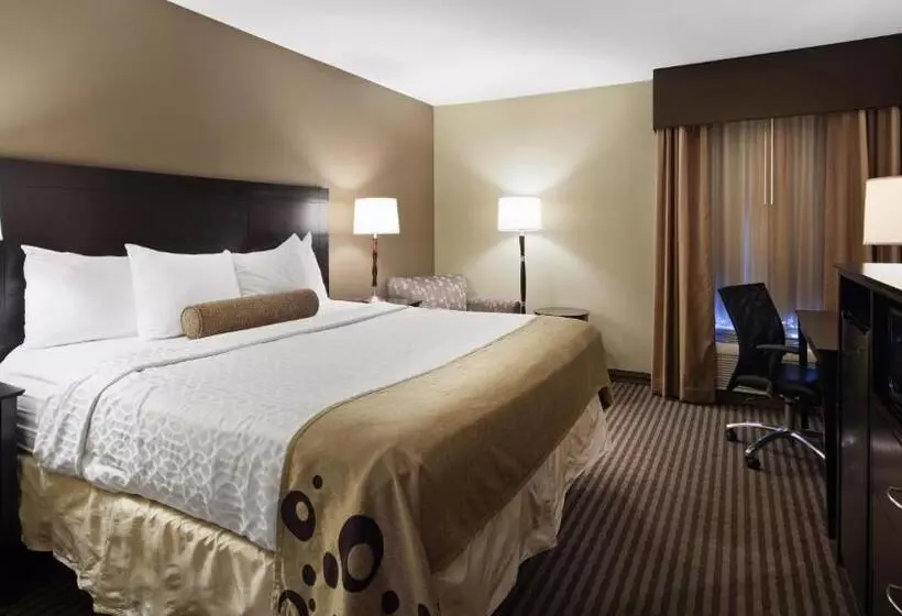 スタンダードルーム, Best Western Plus Mishawaka Inn