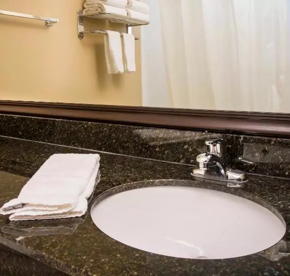 身障者適用スタンダードルーム, Best Western Plus Mishawaka Inn