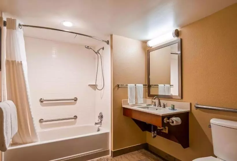 身障者適用キングサイズベッドルーム, Best Western Warren