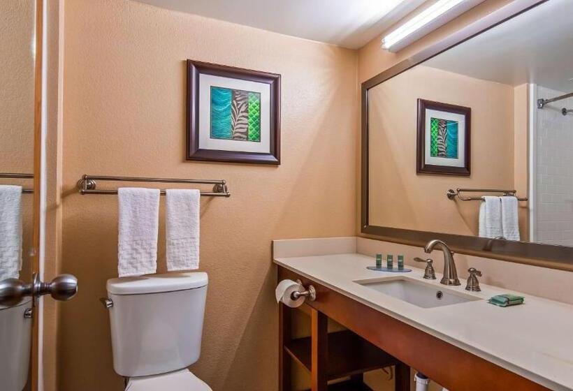 장애인을 위한 킹사이즈 침대 스탠다드 룸, Best Western Warren